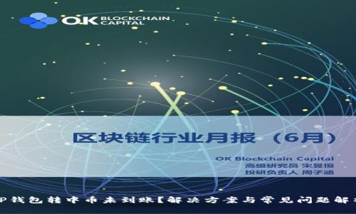 TP钱包转中币未到账？解决方案与常见问题解析