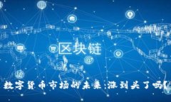 数字货币市场的未来：涨到头了吗？
