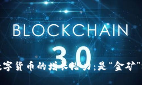: 2025年数字货币的增长潜力：是“金矿”还是“泡沫”？