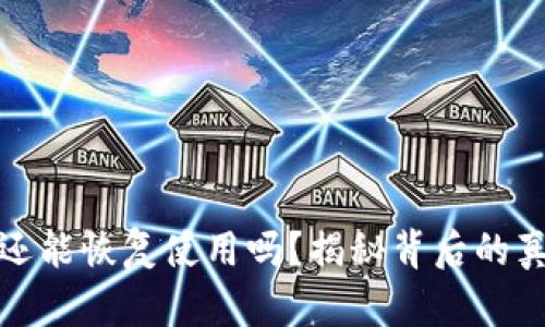 TP钱包被盗后还能恢复使用吗？揭秘背后的真相与应对策略