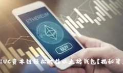 如何通过IUC资本链轻松对接以太坊钱包？揭秘背