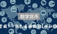 如何轻松掌握T P钱包桌面教程？神秘功能大揭秘
