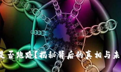 TP钱包是否跑路？揭秘背后的真相与未来走向！